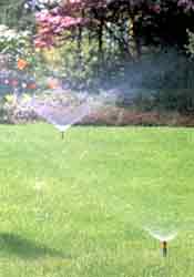 imagen Sprinkler-System